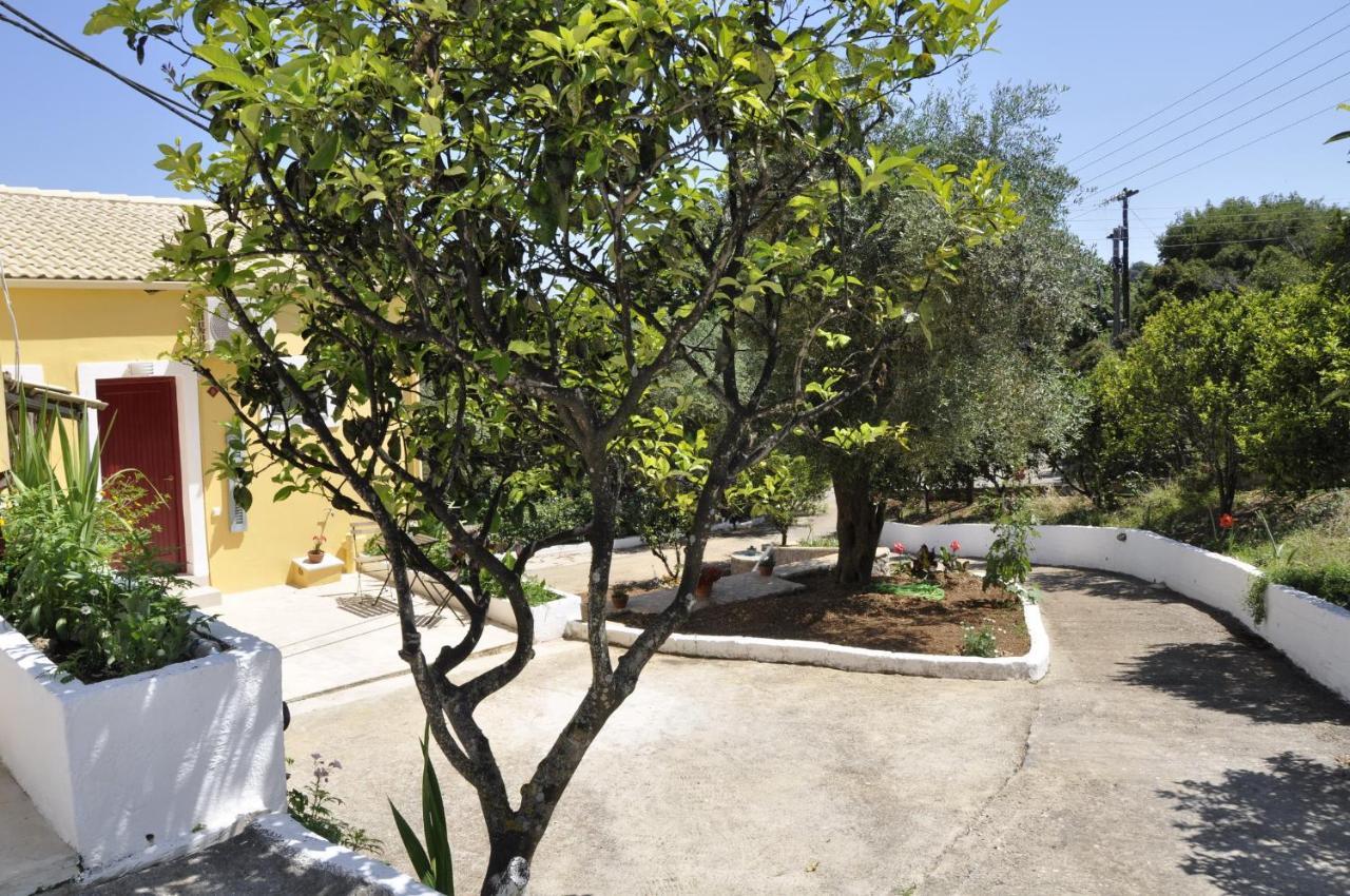 Braziliana Apartments Dassia  Bagian luar foto